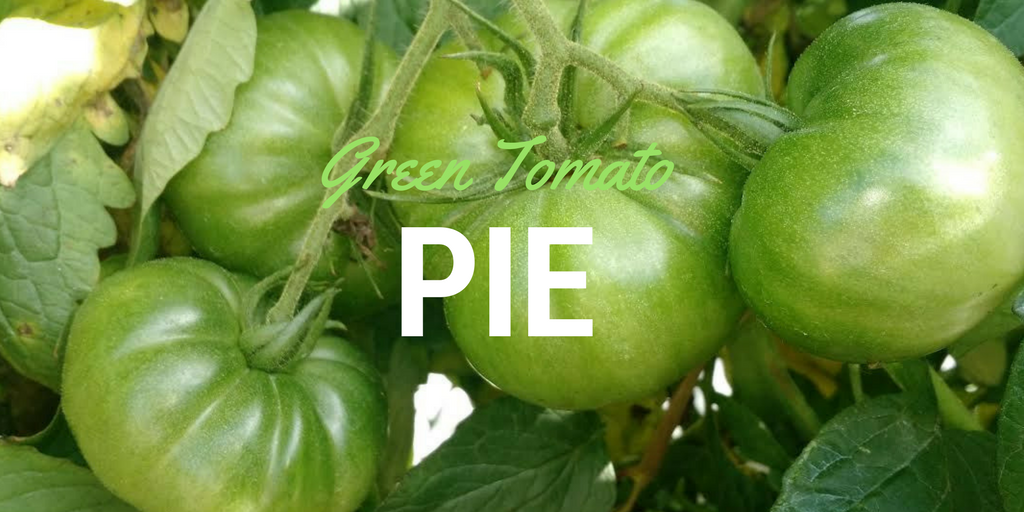 Green Tomato Pie