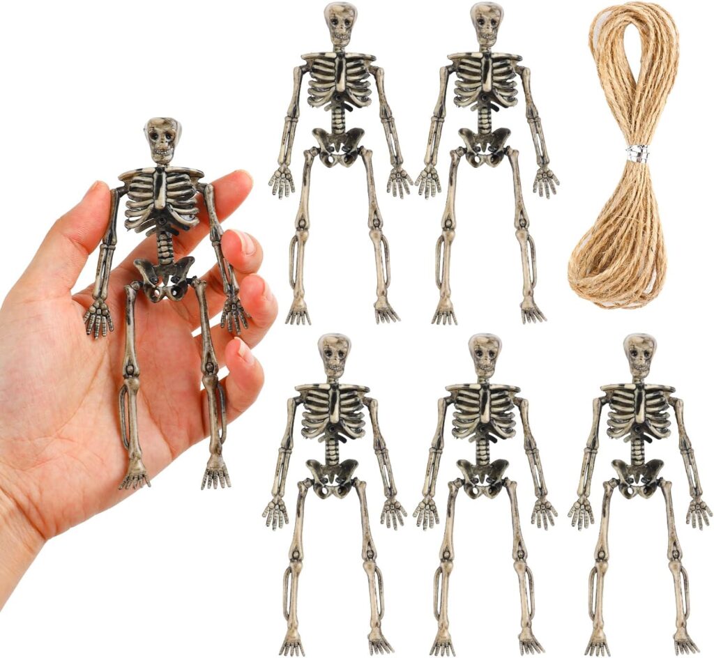 skeleton