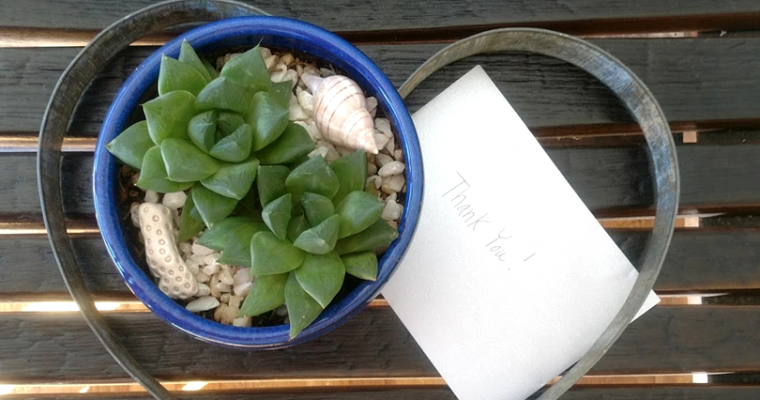 Ideas for World Kindness Day – November 13th, 2017