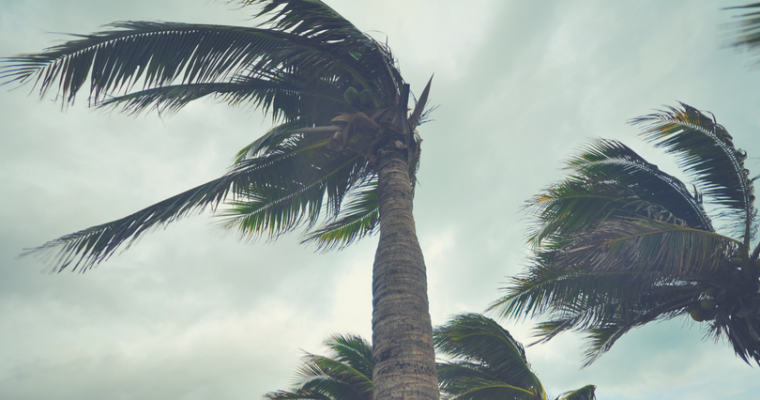 Make an Emergency Preparedness Plan With Your Family