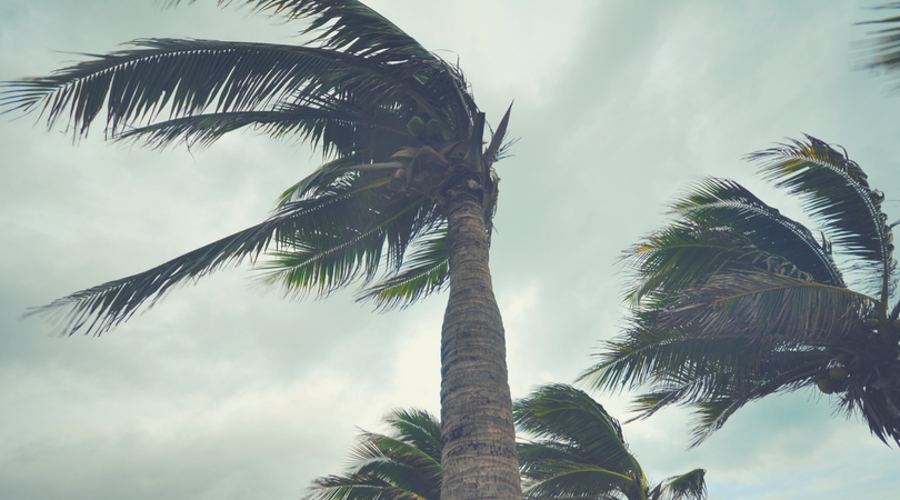 Make a Disaster Preparedness Plan With Your Family