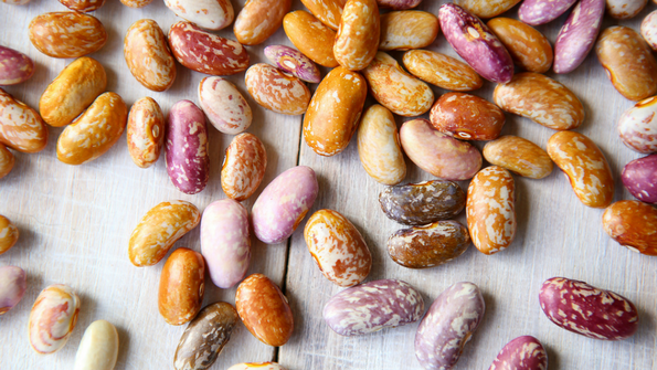 beans