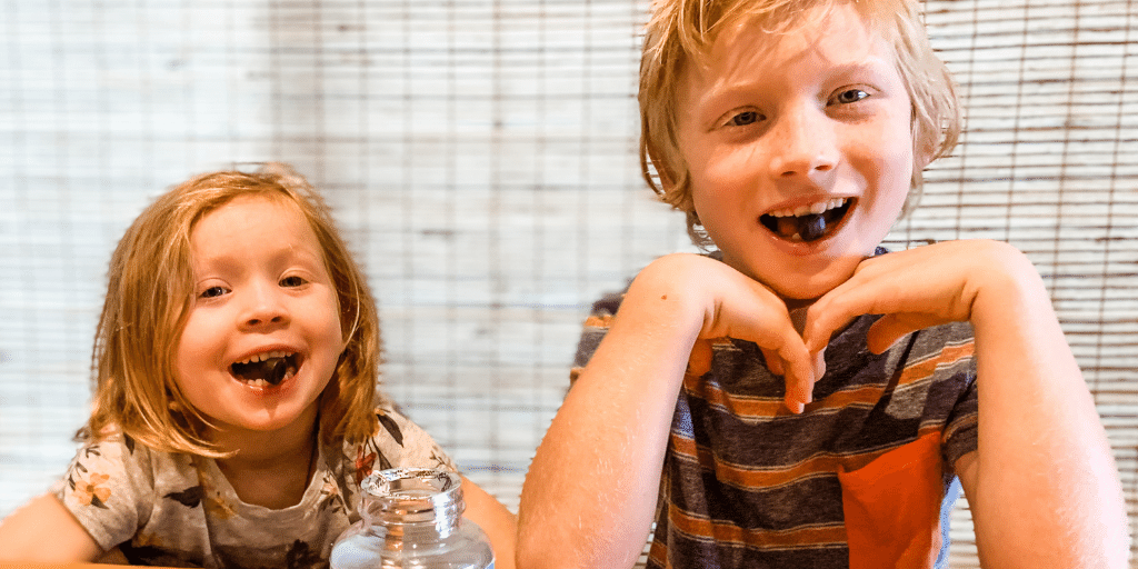 Norm’s Farms ElderKids Organic Elderberry Gummies