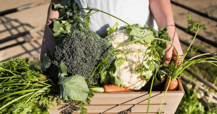 vegetables from farmers market