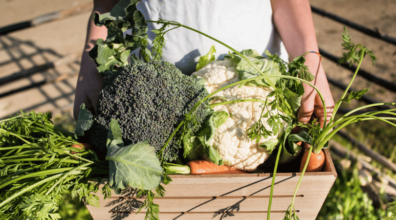Ditch the Junk, Embrace a Plant-Based Diet: 5 Ways to Get Your Family on Board