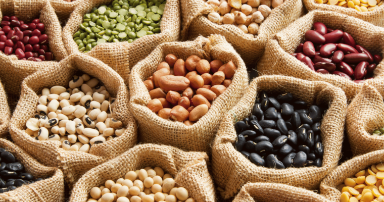 quality sources of plant proteins