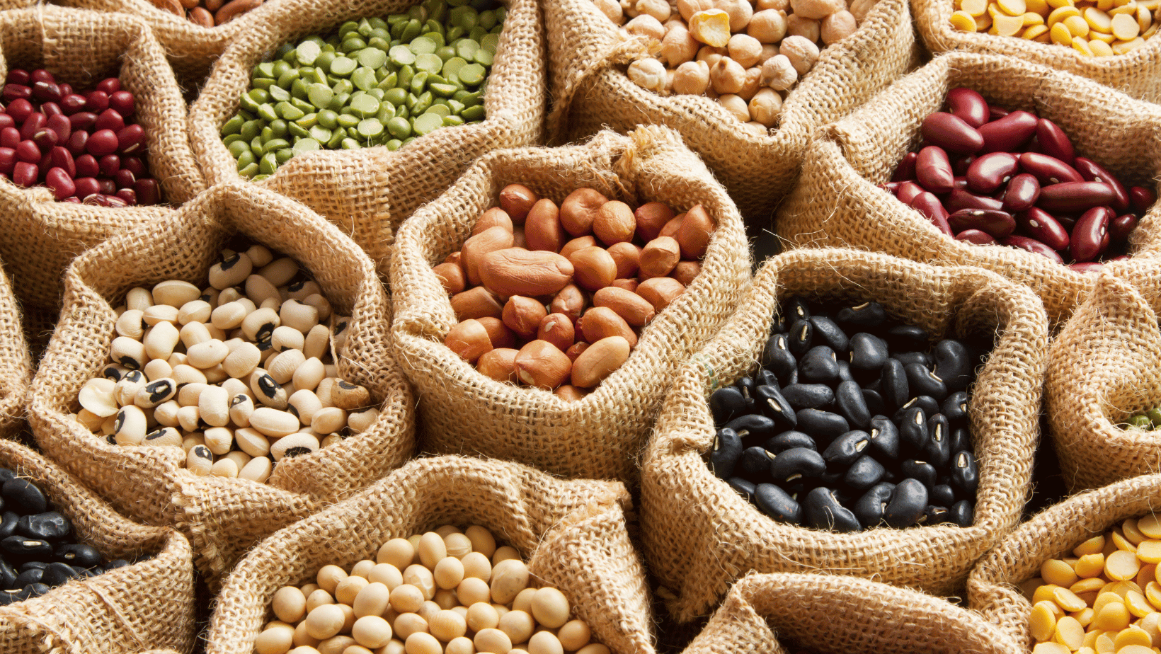 Plant Proteins Myths Dispelled