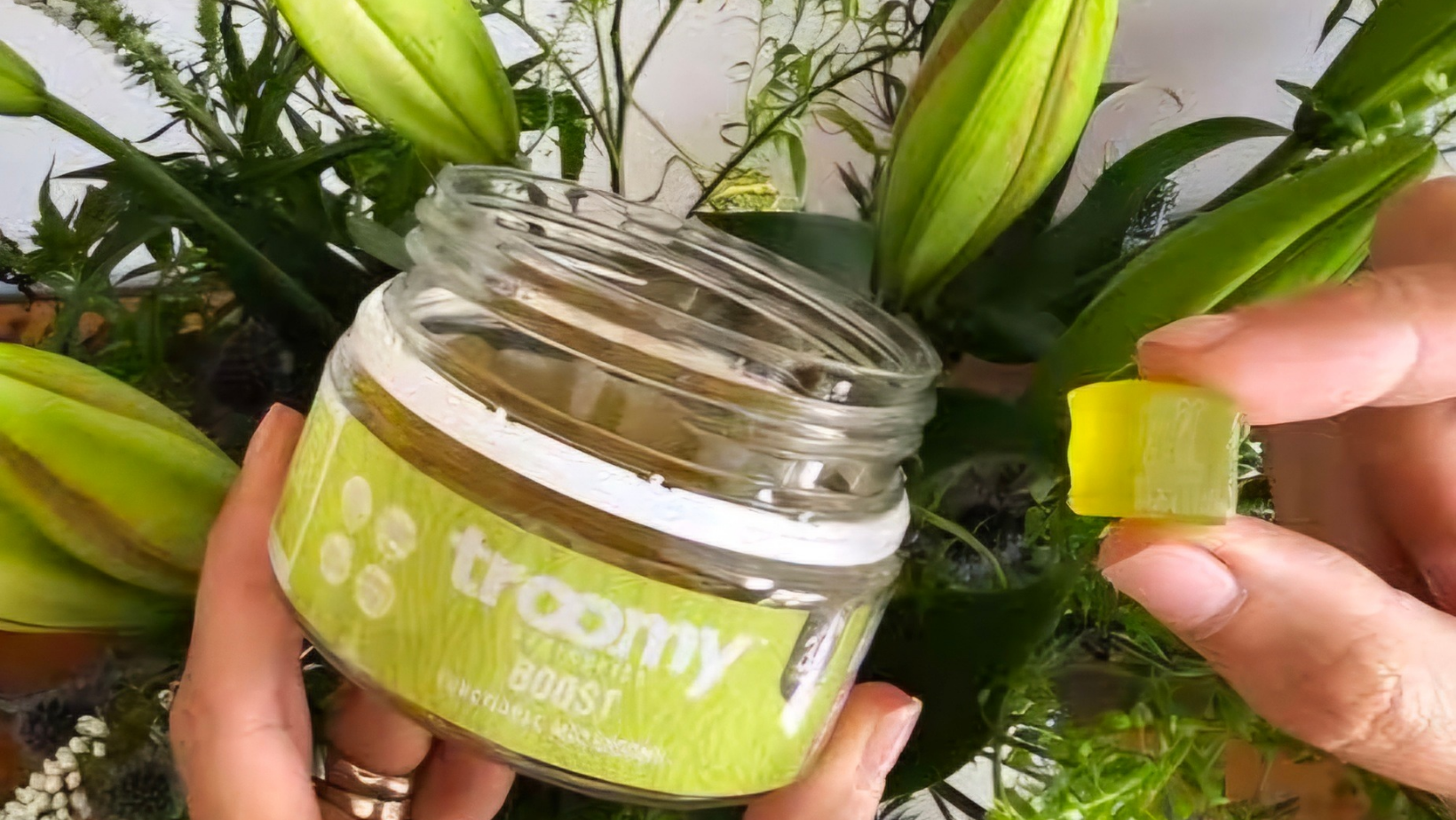 Troomy Functional Mushroom Gummies Review: A Boost for Focus and Energy