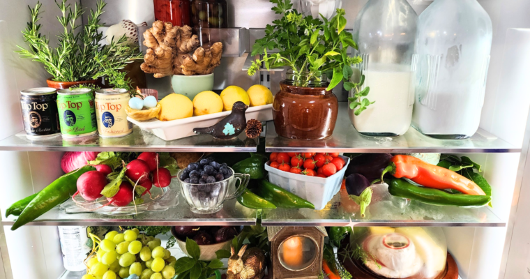 fridgescaping with birds