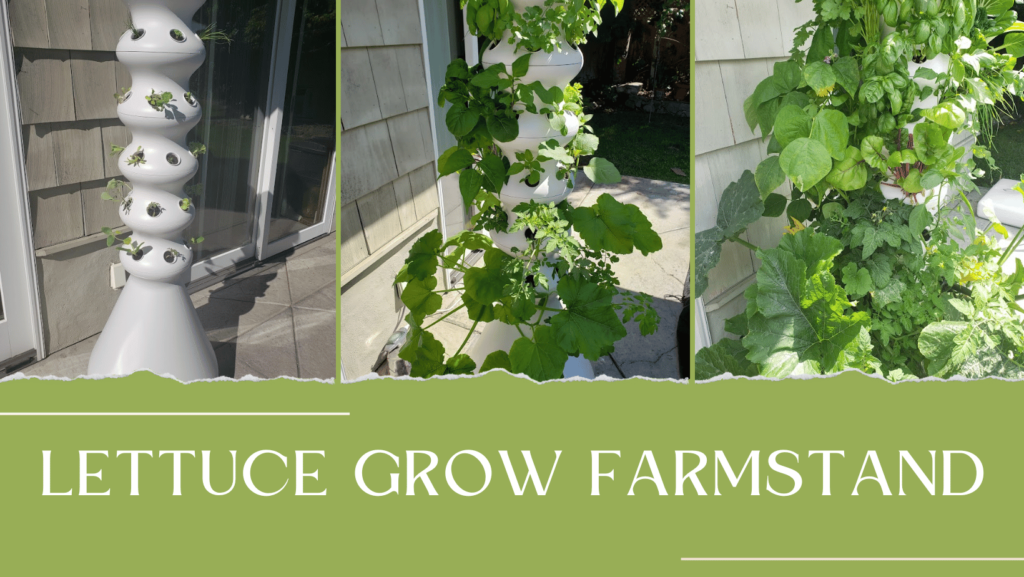 farmstand hydroponic