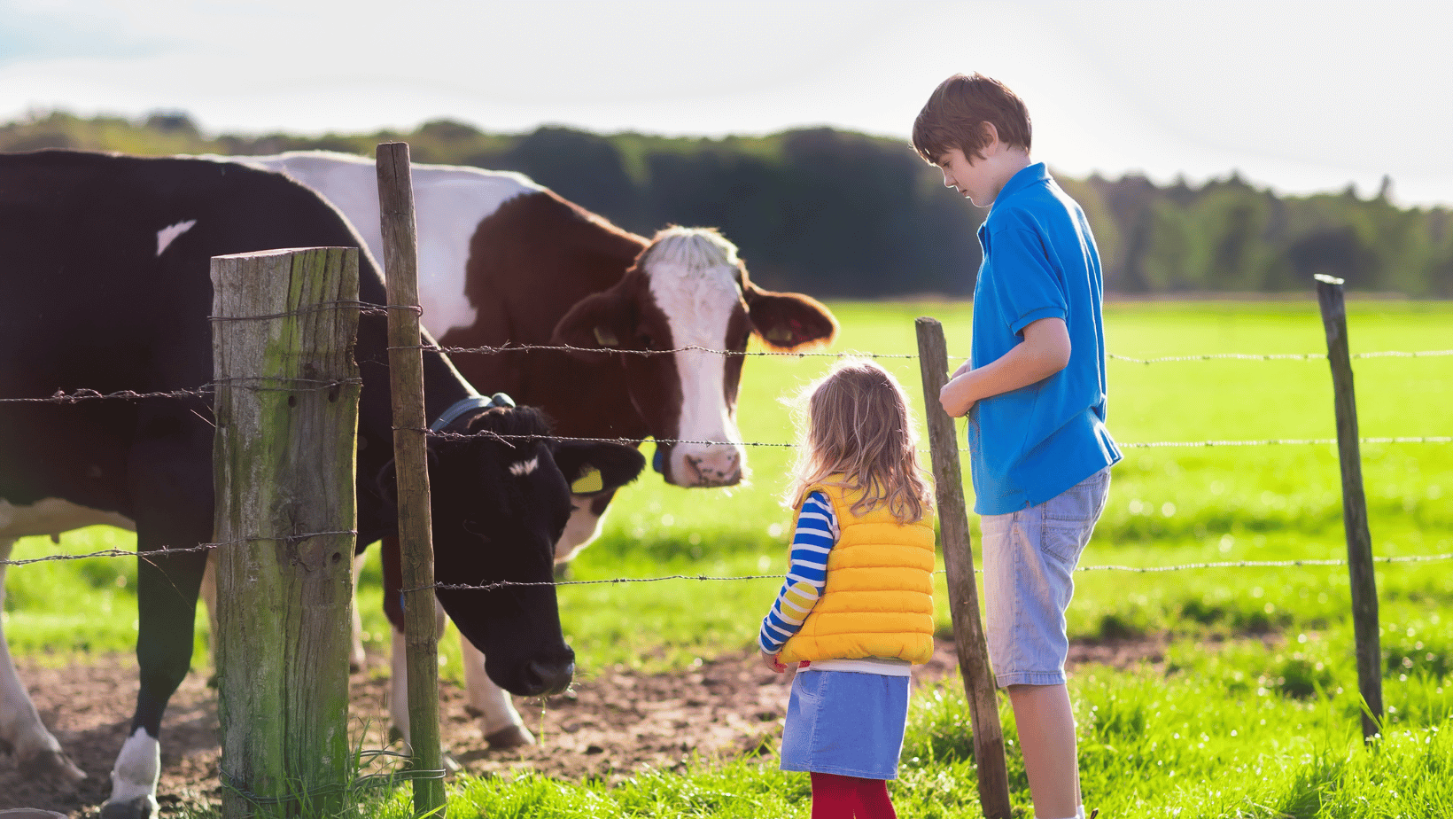 What Dairy Equipment is Most Suitable for Small-Scale Production: A Practical Guide