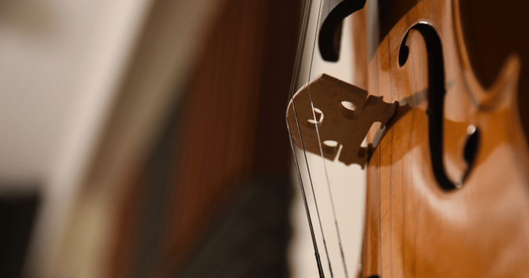 How to Choose the Right Viola Rental for Your Needs