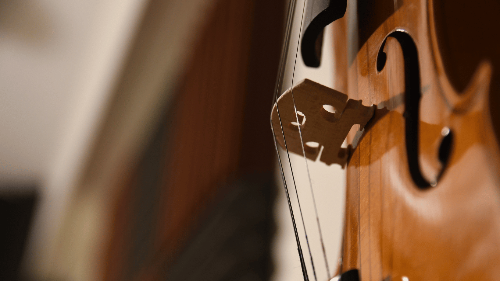 How to Choose the Right Viola Rental for Your Needs