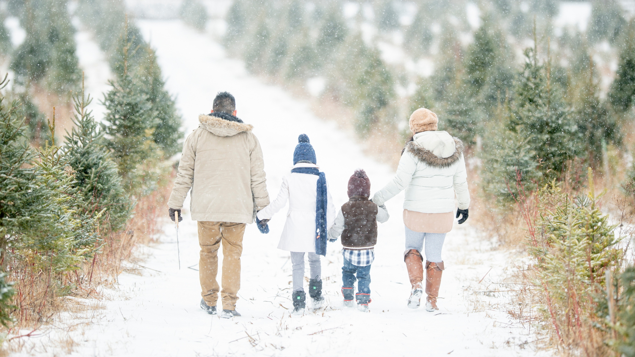 Making Holiday Memories Last with Creative Ways to Capture and Preserve Family Moments