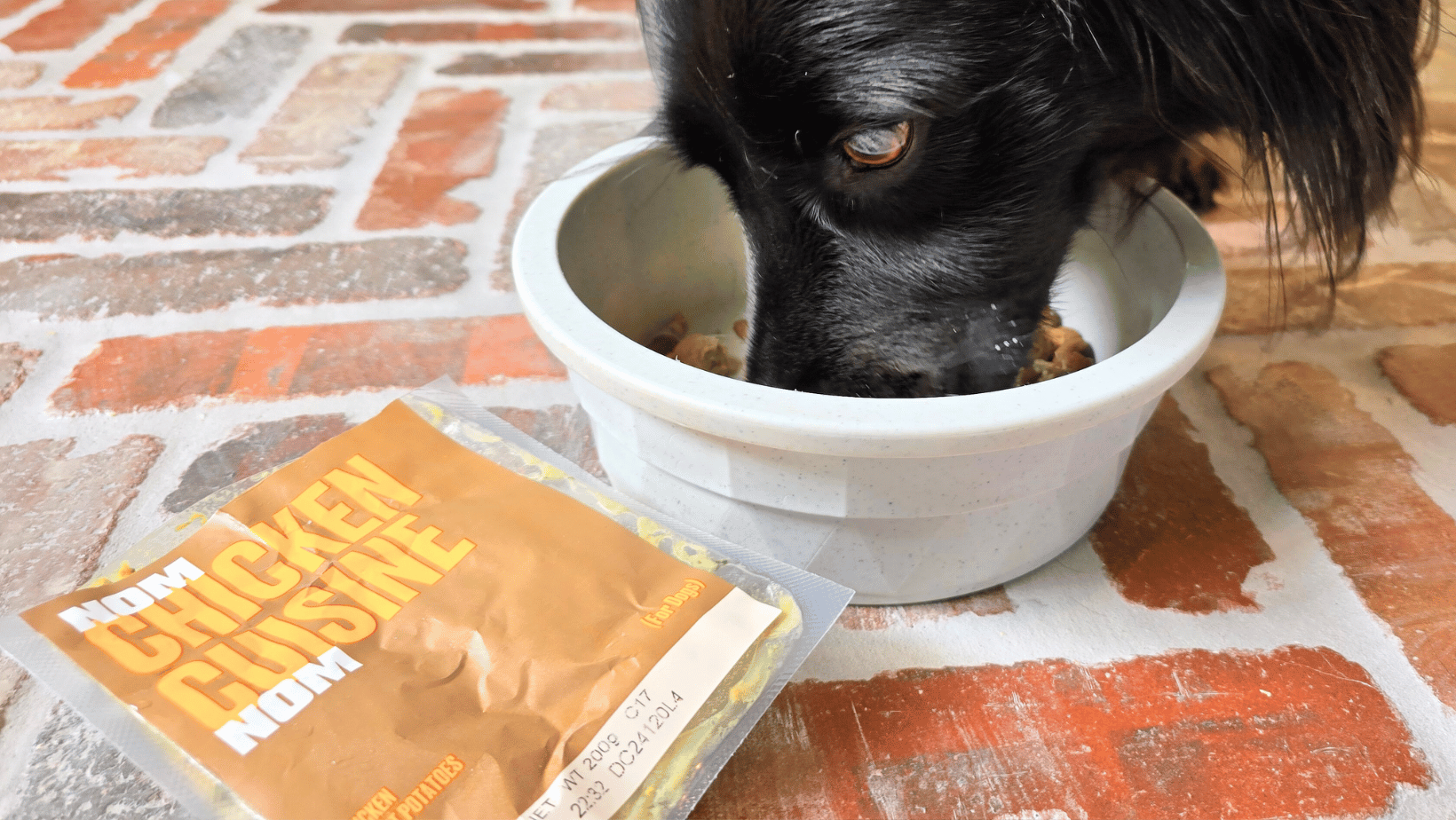Do you have a picky dog?
