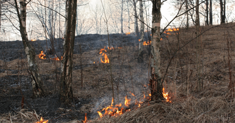 Protecting Your Home: A Guide to High-Pressure Fire Pumps for Brush Fire Defense