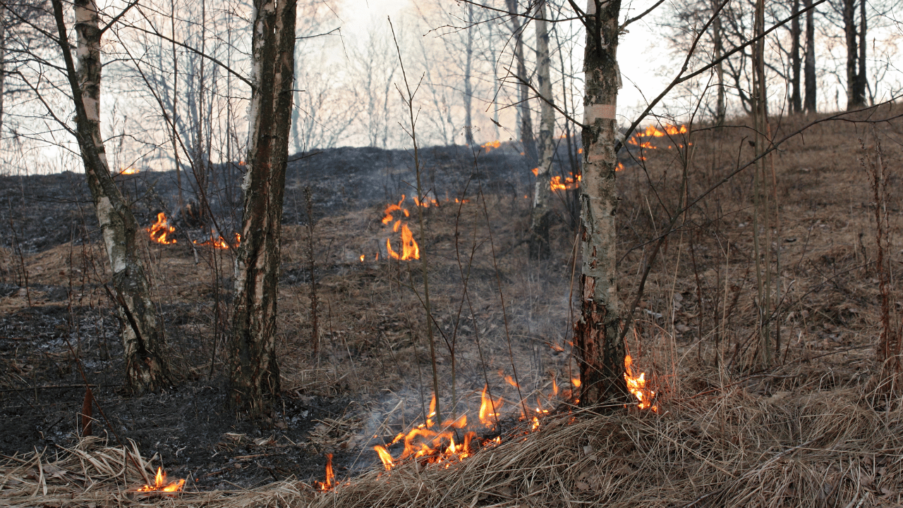Protecting Your Home: A Guide to High-Pressure Fire Pumps for Brush Fire Defense