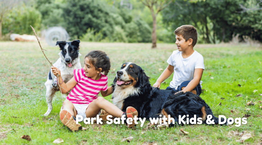 How to Manage Both Kids and Dogs at the Dog Park