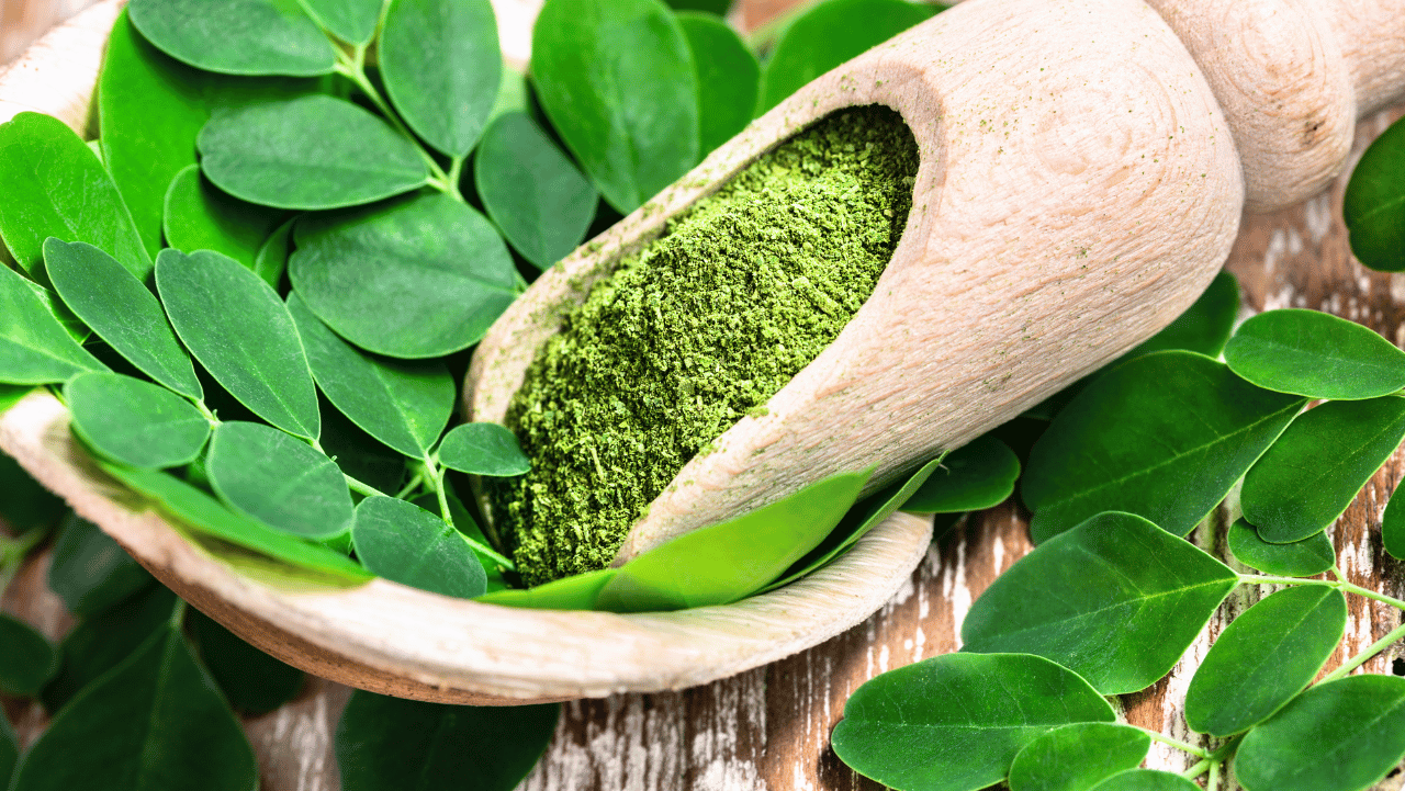The Science Behind Moringa and Its Role in Boosting Milk Supply