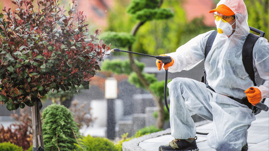 10 Telltale Signs You Need to Call Pest Control Professionals Right Away