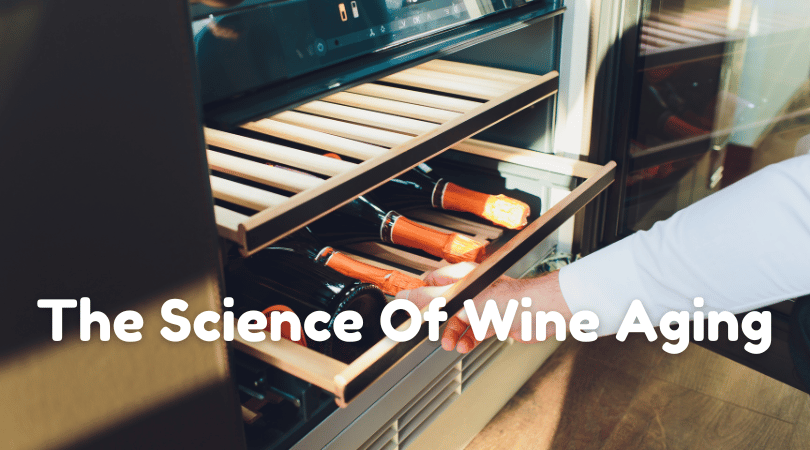 The Science Of Wine Aging: How Time Enhances Every Sip