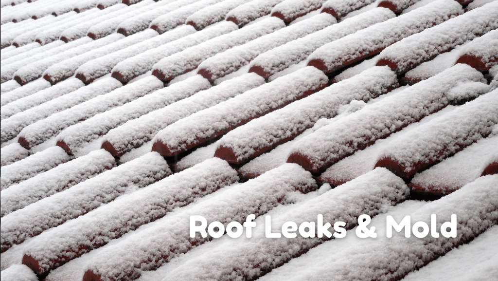 Roof Leaks and Their Contribution to Mold Growth and Health Problems