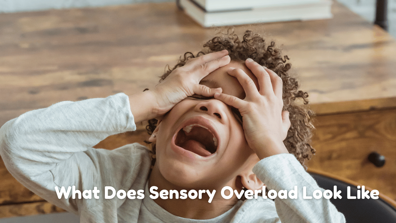 What Does Sensory Overload Look Like and How to Help