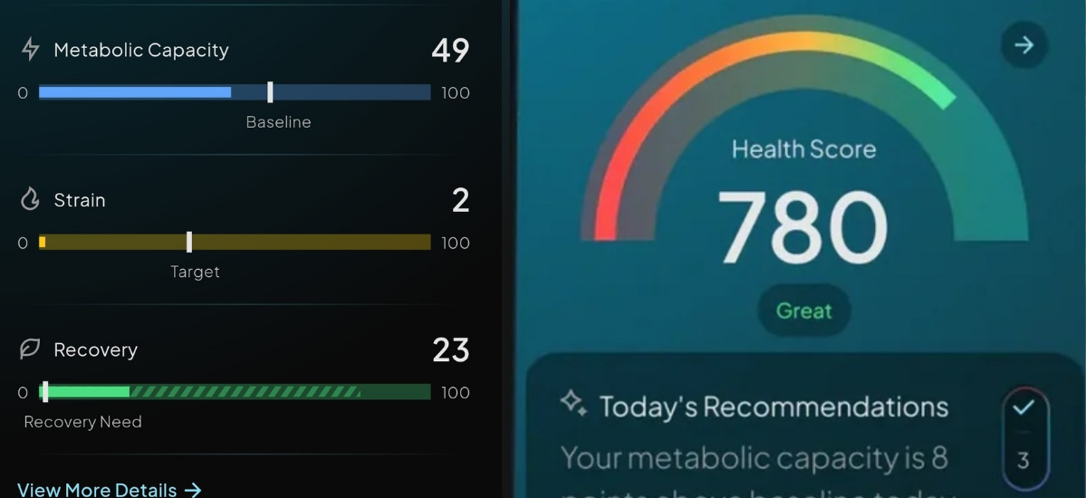 Hume Band Metabolic Momentum