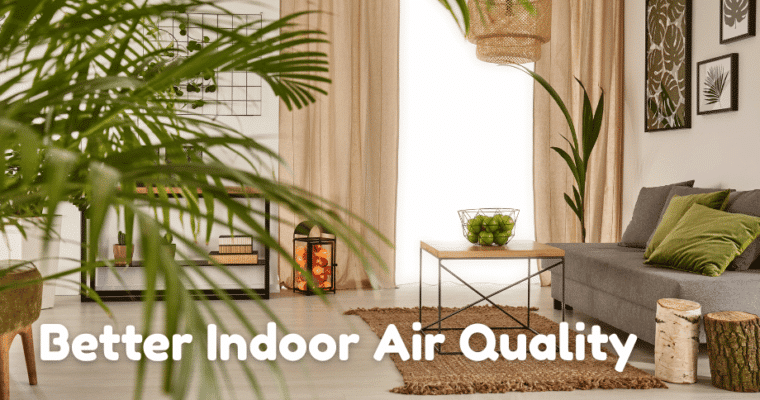 Creating a Healthier Home Environment: Practical Steps for Better Indoor Air Quality