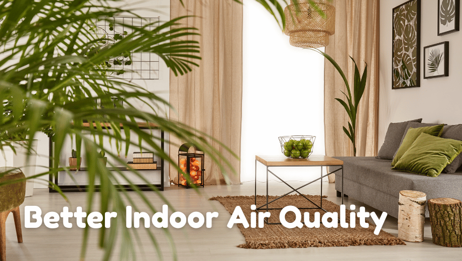 Creating a Healthier Home Environment: Practical Steps for Better Indoor Air Quality