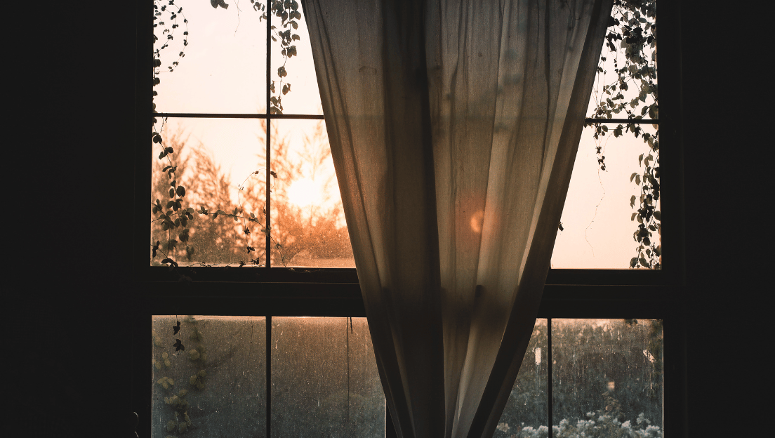 window from living room