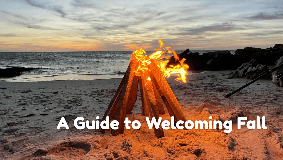 Embracing the Autumnal Shift: A Guide to Welcoming Fall