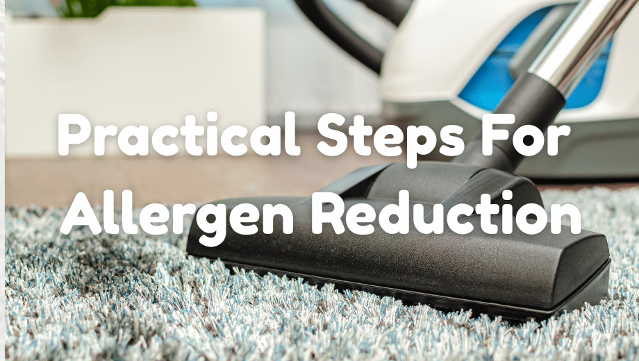 Cleaner Rugs, Healthier Homes: Practical Steps For Allergen Reduction