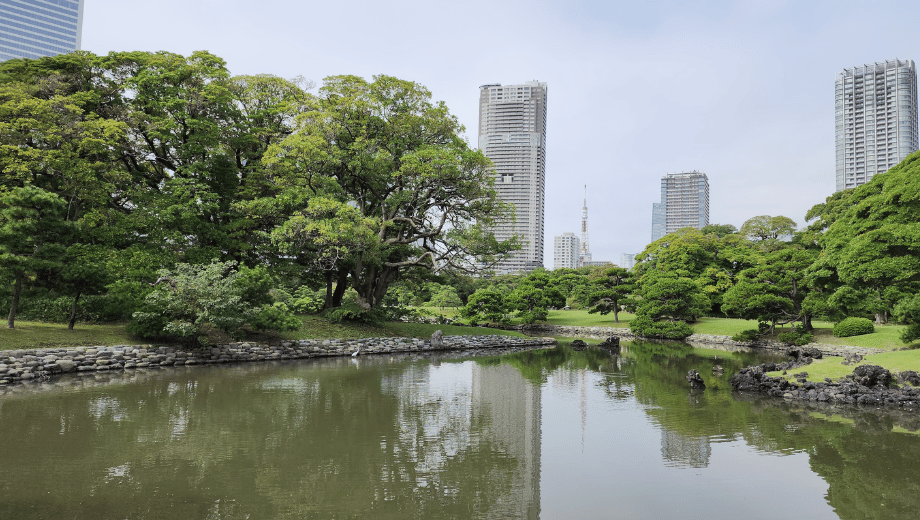 Hamarikyu Gardens - with Tokyo Tower in the Distance
