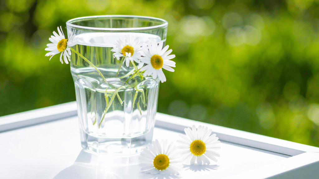 Why Being “A Little Dehydrated” Affects More Than You Think