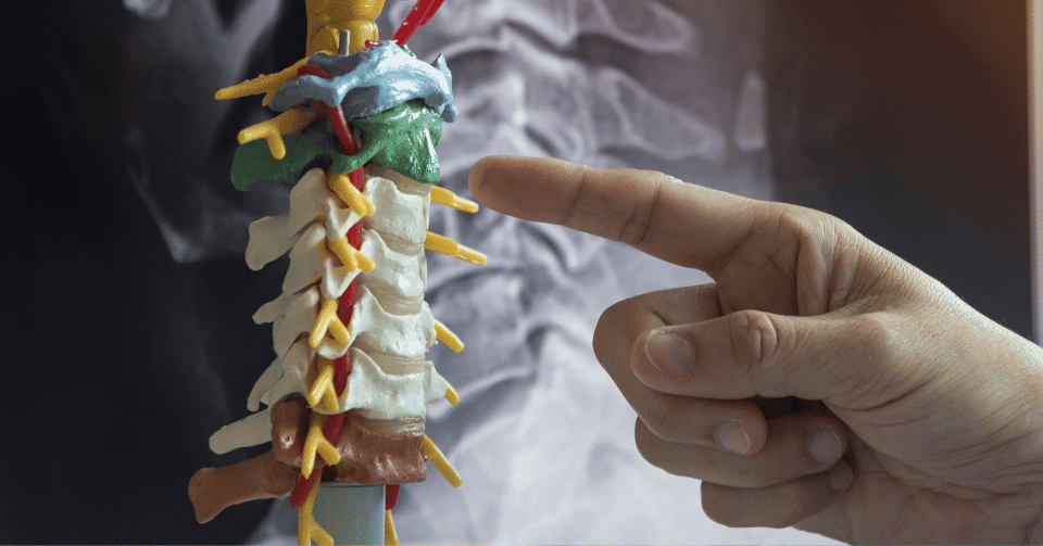 Is Upper Cervical Chiropractic Safe? What Patients Should Know