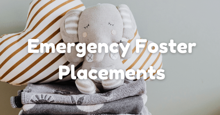 The First 24 Hours: A Survival Guide for Emergency Foster Placements