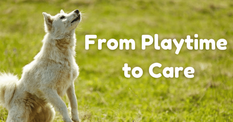 From Playtime to Care: How Pets Enrich Family Life