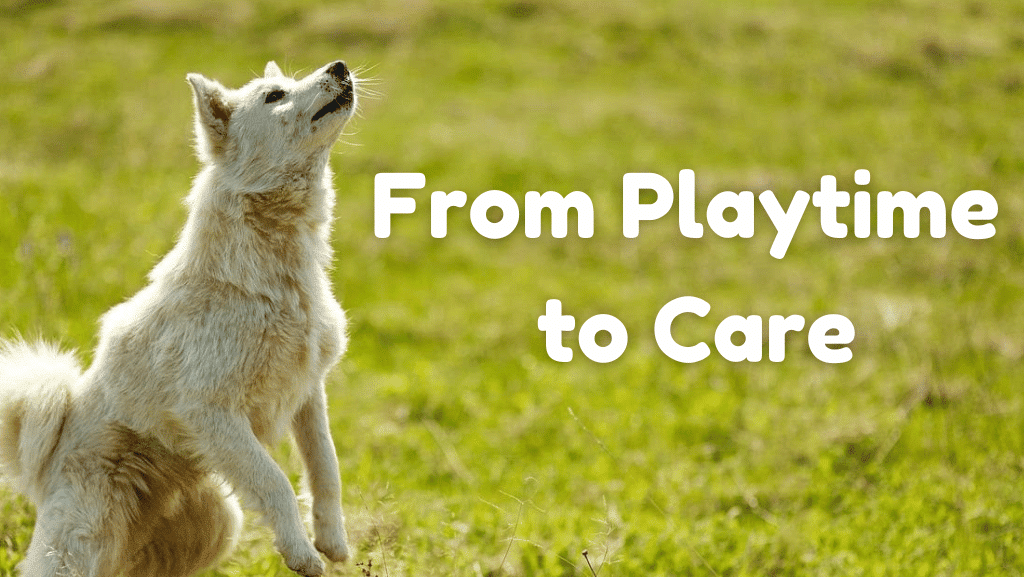 From Playtime to Care: How Pets Enrich Family Life