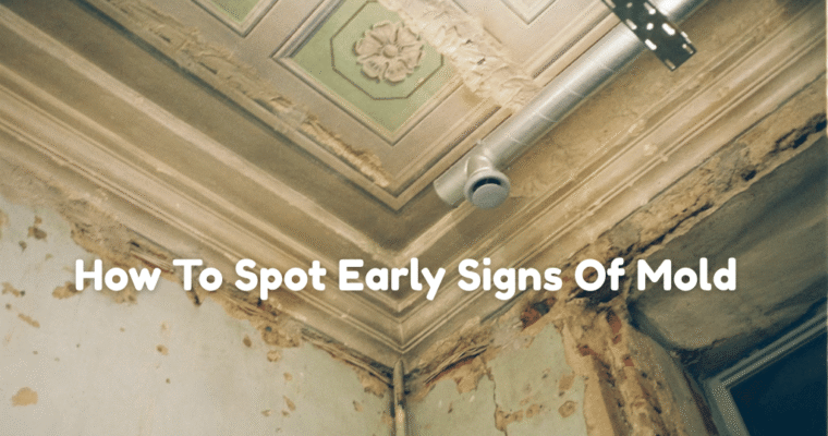 How To Spot Early Signs Of Mold Growth Inside The Home