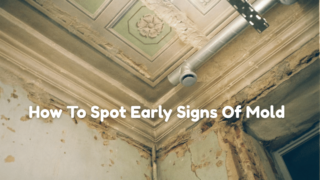 How To Spot Early Signs Of Mold Growth Inside The Home
