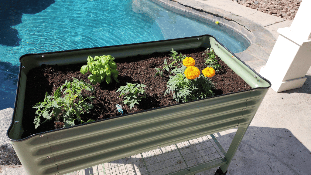 The Vego Garden raised garden bed on wheels is a back saver.