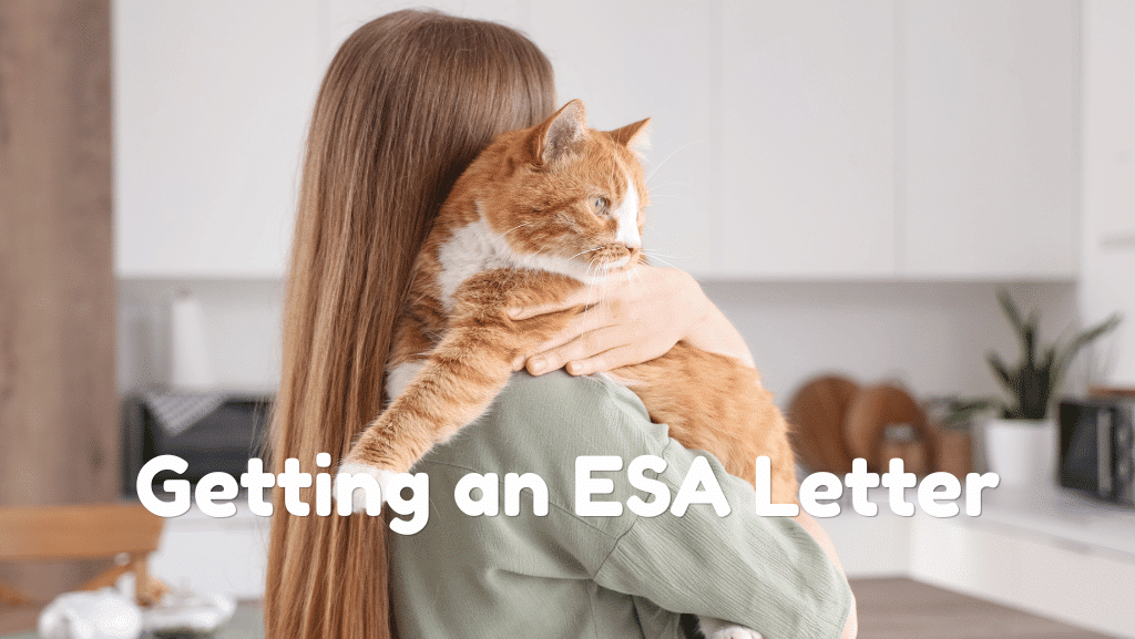 What Disabilities Can Qualify for Getting an ESA Letter?
