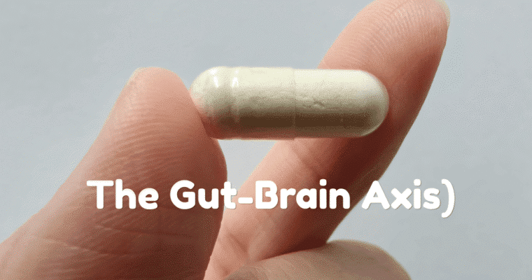 Prebiotics, Probiotics, and Mental Health (the Gut-Brain Axis): 5 Facts