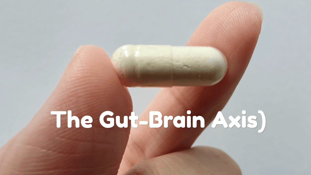 Prebiotics, Probiotics, and Mental Health (the Gut-Brain Axis): 5 Facts