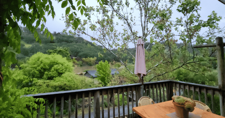 Beyond the Vine: Surprising Spots & Stunning Views in Sonoma County