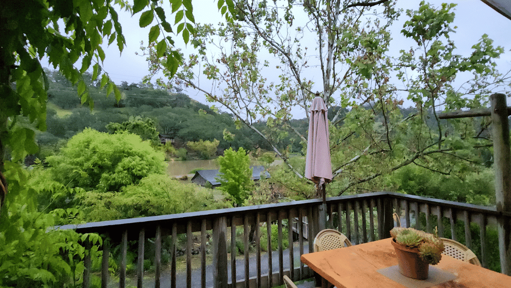 Beyond the Vine: Surprising Spots & Stunning Views in Sonoma County