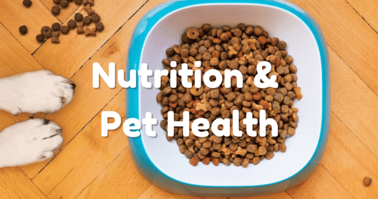 Nutrition Choices That Improve Pet Health