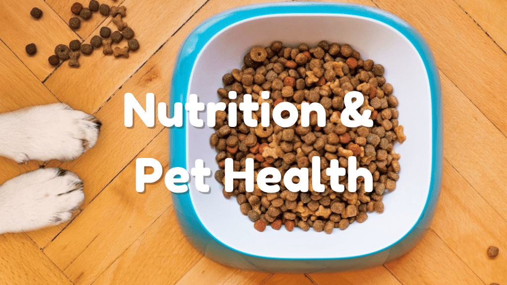 Nutrition Choices That Improve Pet Health
