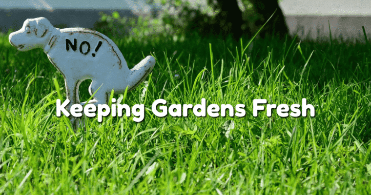 How a Dog Poo Bin Keeps Gardens Fresh